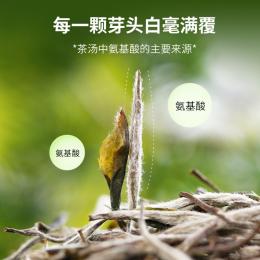 天福茗茶 珍藏白牡丹白茶 福鼎特产茶叶 私藏茶 瓷罐礼盒装100克白茶白牡丹